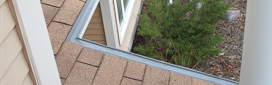 Leaf Guard Protection~